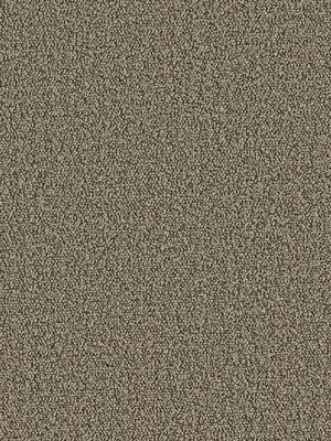 m-wDTW104367A400-P - Das Teppichwerk Teppichboden...