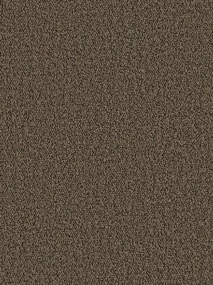 m-wDTW104368A400-P - Das Teppichwerk Teppichboden...