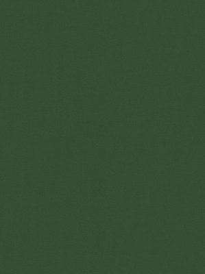 m-wDTW104091A400-P - Das Teppichwerk Teppichboden...