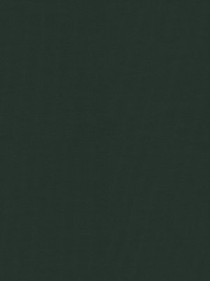 m-wDTW104092A400-P - Das Teppichwerk Teppichboden...