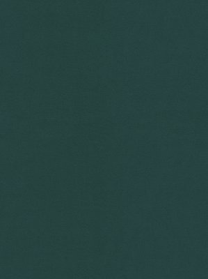 m-wDTW104095A400-P - Das Teppichwerk Teppichboden...