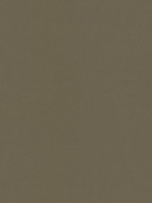 m-wDTW104104A400-P - Das Teppichwerk Teppichboden...