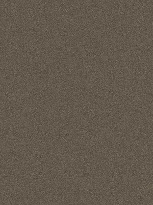 m-wDTW104055A400-P - Das Teppichwerk Teppichboden...