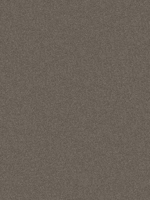 m-wDTW104053A400-P - Das Teppichwerk Teppichboden...