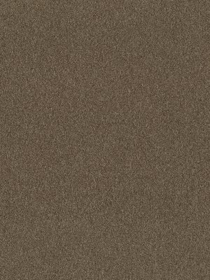 m-wDTW104377A400-P - Das Teppichwerk Teppichboden...